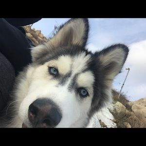 Meet your Posher, Montez